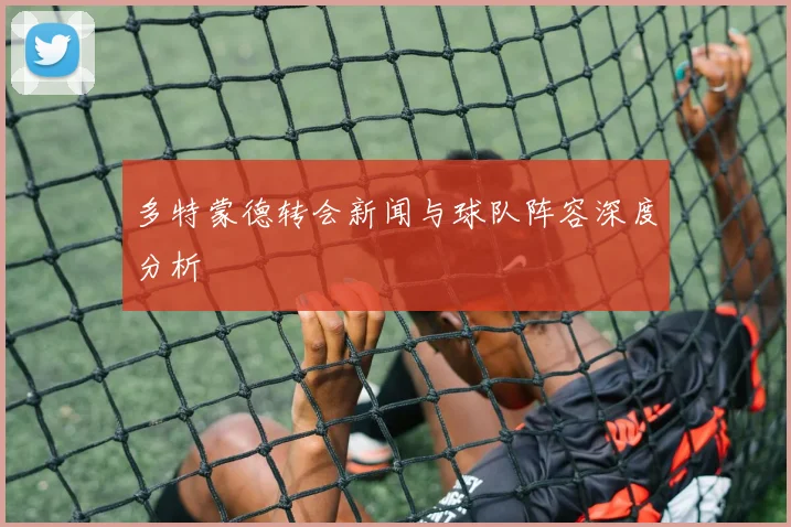 多特蒙德转会新闻与球队阵容深度分析