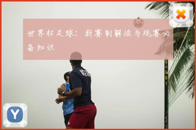 世界杯足球:新赛制解读与观赛必备知识